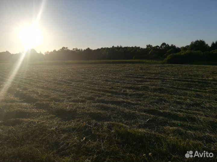 Сено в тюках
