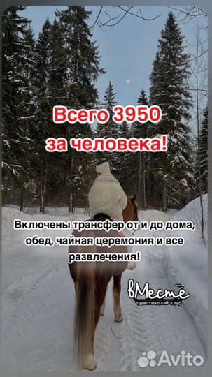 Тур из Уфы выходные Конная прогулка