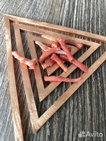 Красный коралл для Васту