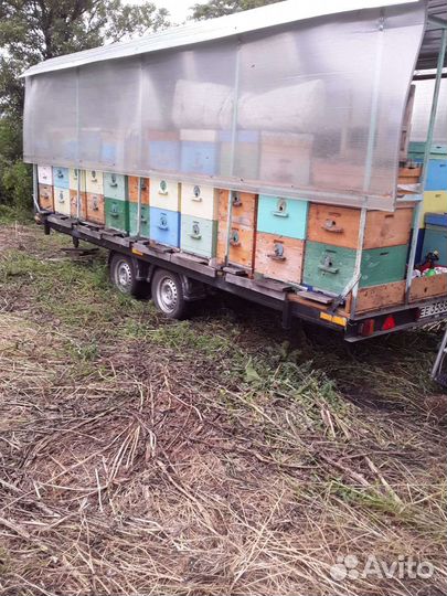 Автоприцеп легковой бу