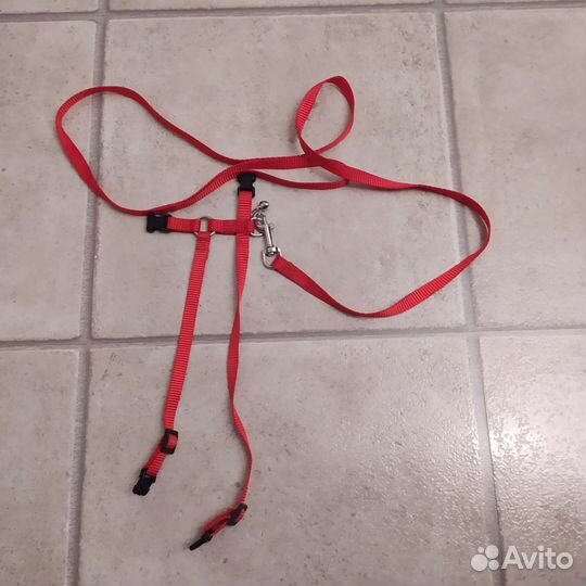 Шлейка для кошки