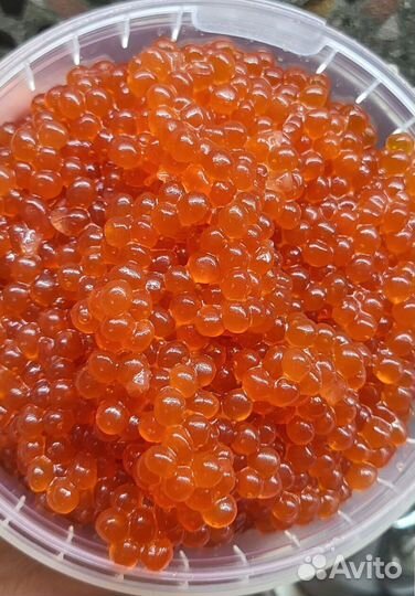 Красная икра купить