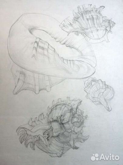 Репетитор по академическому рисунку