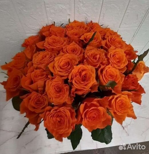 Оранжевые розы. Рыжие розы. Яркие розы. Розы Омск