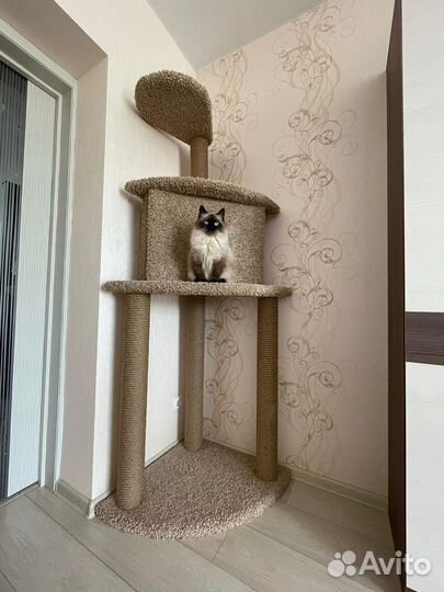 Домик для кота большой