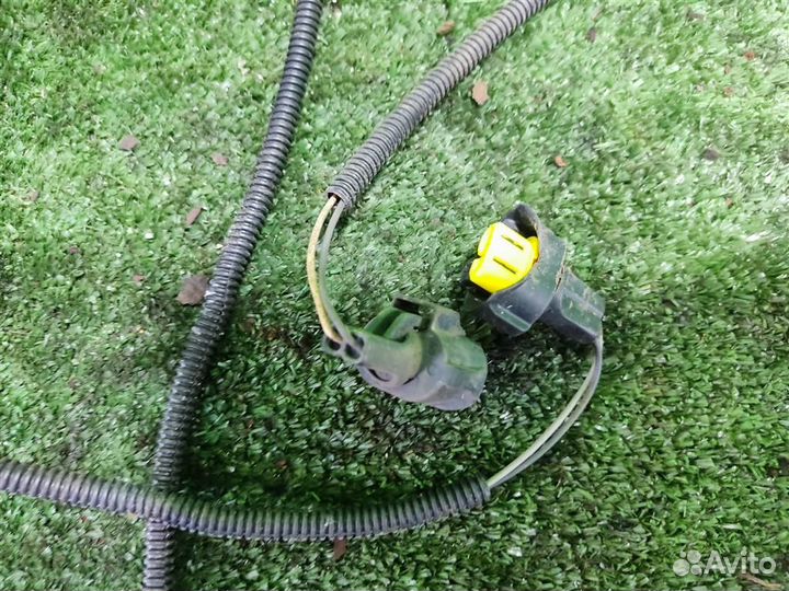 Проводка противотуманных фар Renault Scenic 2 (JM