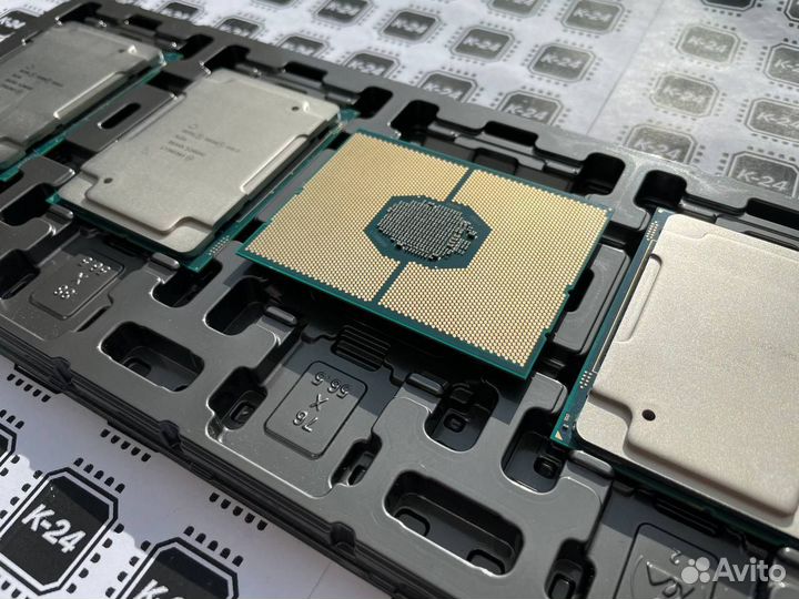 Gold 6134 Intel Xeon (8c/16t, 3.2GHz-3.7GHz, 130W)