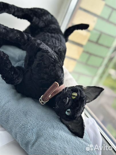 Девон рекс реалистичная игрушка