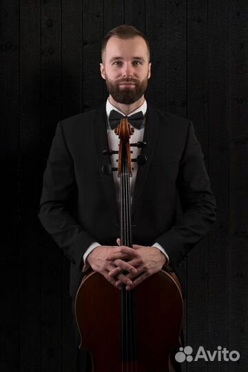 Музыканты на мероприятие, виолончель