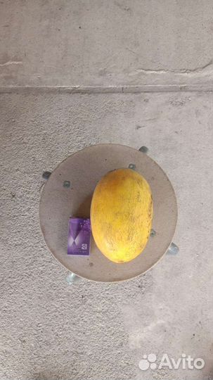 Продаю своё прдаю дыню 300 кг В 13:00 собрана 80Р