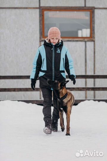 Услуги кинолога