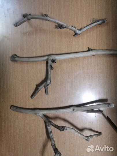 Коряга в аквариум