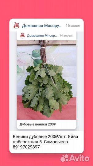 Веники для бани