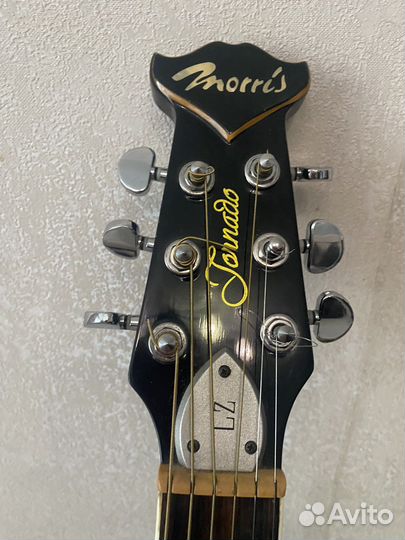 Электроакустическая гитара morris tornado lz