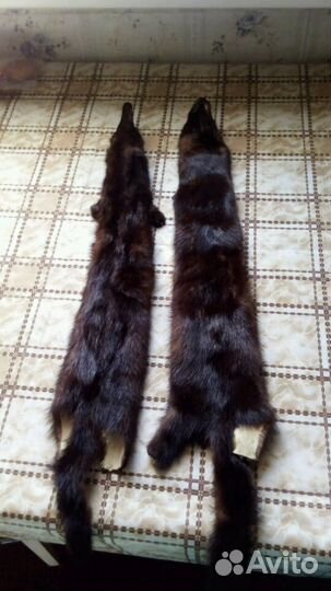 Шкурка Норки