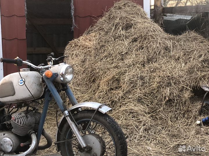 Иж юпитер 3 (бронь на субботу )