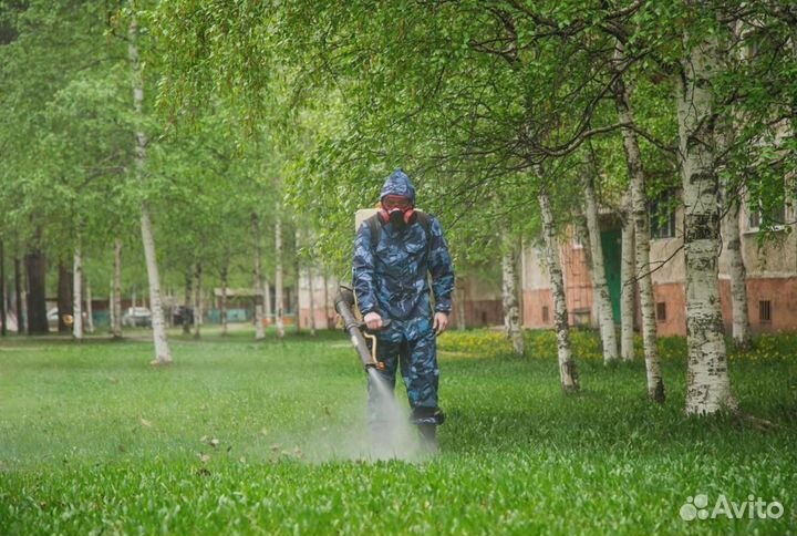 Уничтожение клопов тараканов грызунов