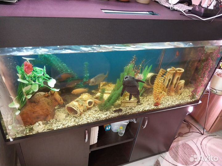 Аквариум с тумбой и рыбами