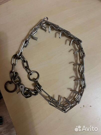 Строгий ошейник