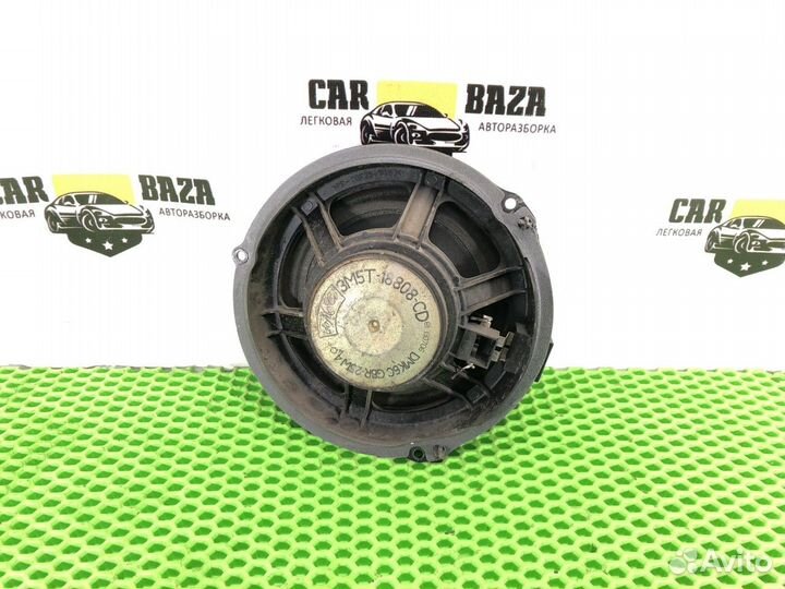 Динамик в дверь задний