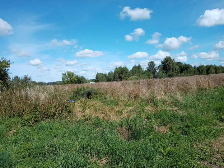 Участок 45 сот. (ИЖС)