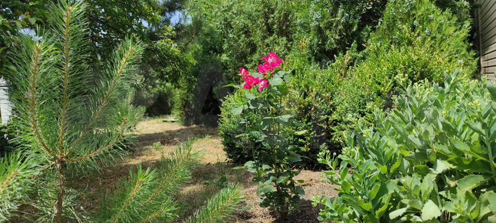 Дача 20 м² на участке 30 сот.