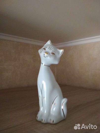 Кошки новое много