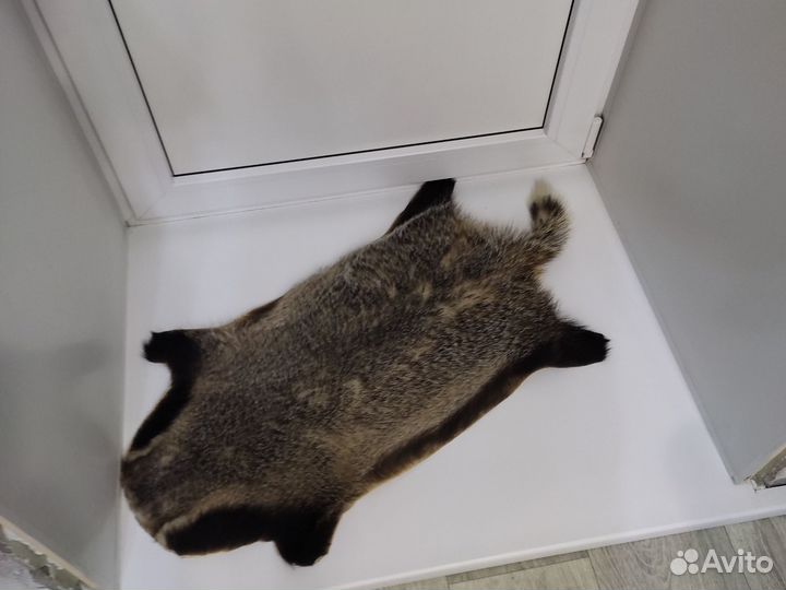 Шкуры барсука