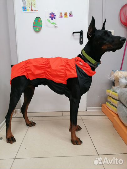 Комбинезоны, дождевики, попоны для собак