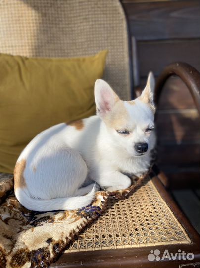 Ищем кабеля для вязки