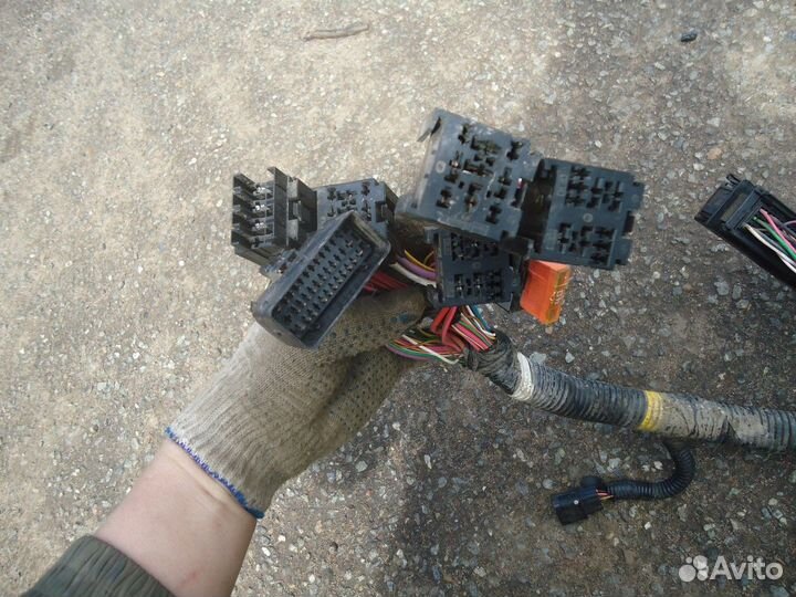 Электропроводка моторного отсека (Nissan Almera)