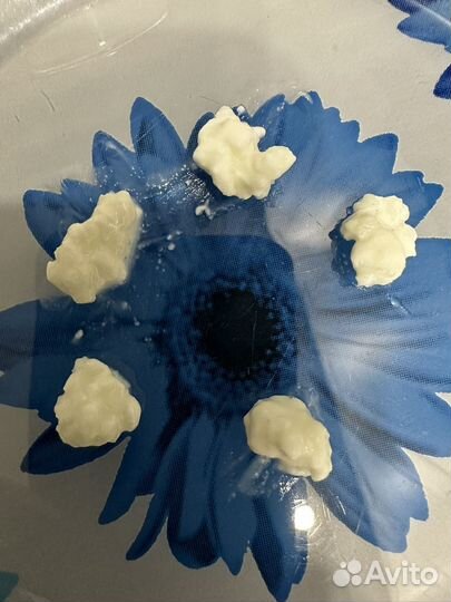 Кефирный молочный гриб