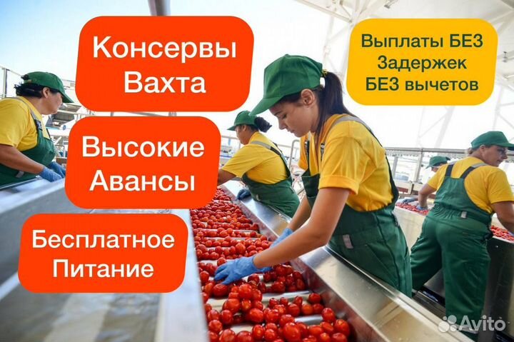 Фасовщики Вахта 3х разовое питание бесплатно