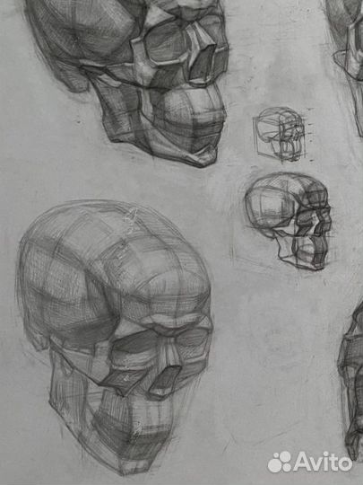 Репетитор по академическому рисунку и черчению