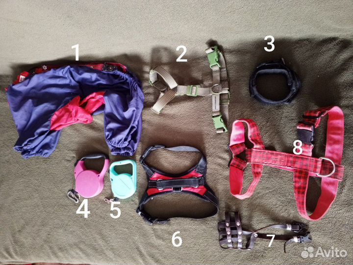 Товары для собак