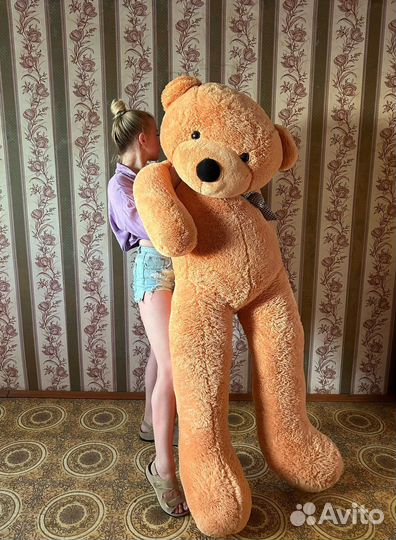 Плюшевый медведь