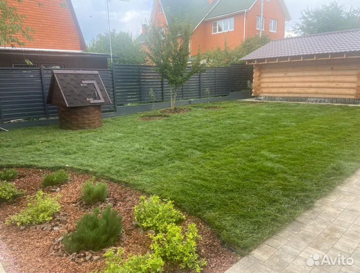 Рулонный газон/продажа