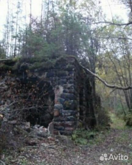 Экскурсия по заброшкам