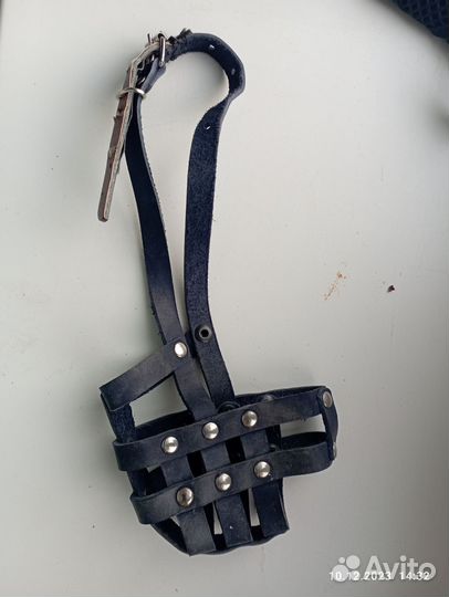 Намордник для собаки