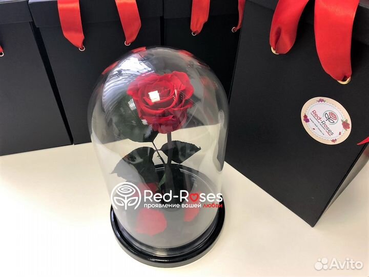 Роза в колбе Кинг Сайз Бордовая