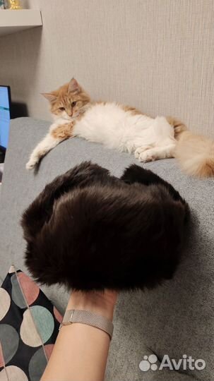 Мужская шапка из кролика натуральный мех