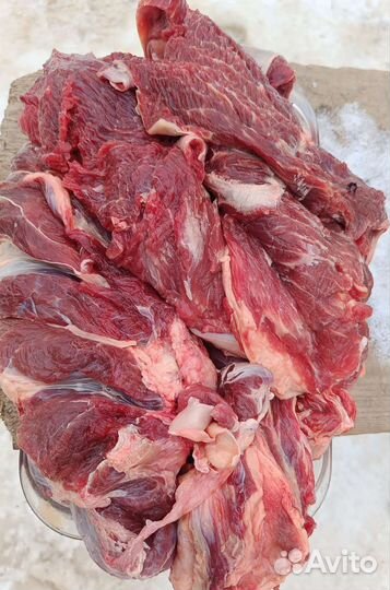 Мясо для собак говядина и свинина