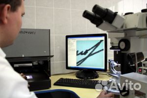 Экспертиза-оценка, рецензия