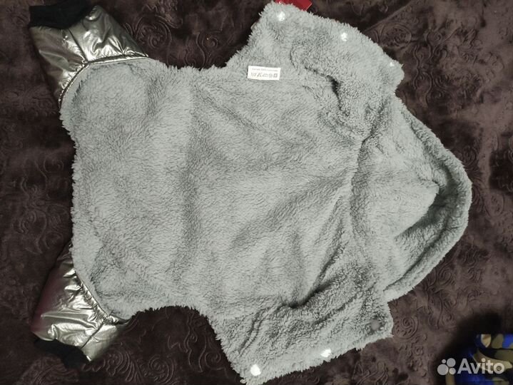 Одежда для собак мелких пород