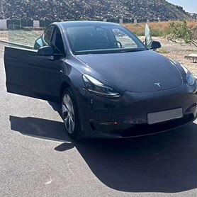 Tesla Model Y 345 л.с. AT, 2023, 7 000 км