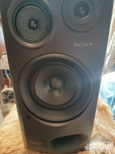 Sony SS - H2900