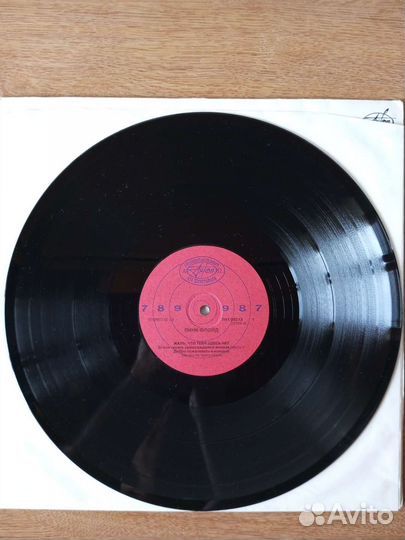 Виниловая пластинка