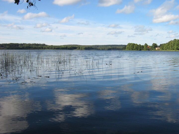 Участок 10,2 сот. (ИЖС)