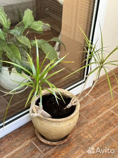 Горшок для цветов из глины и керамики 15 л