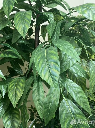 Искусственные деревья